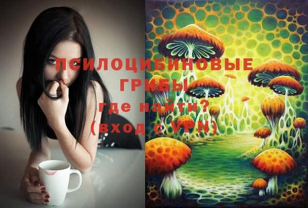 прущая мука Лабытнанги