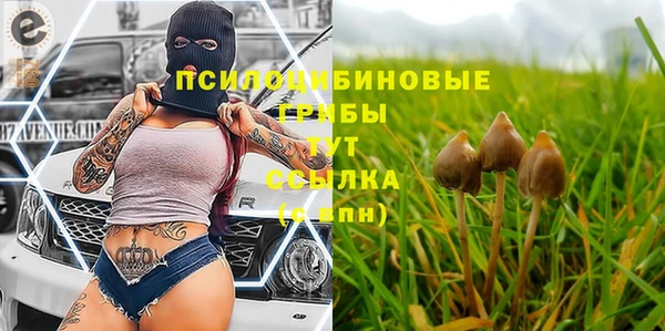 экстази Бердск