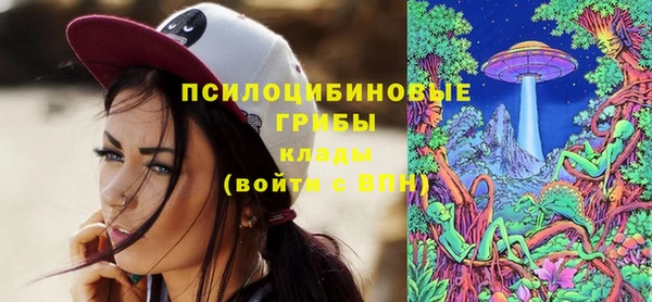 не бодяженный Новозыбков