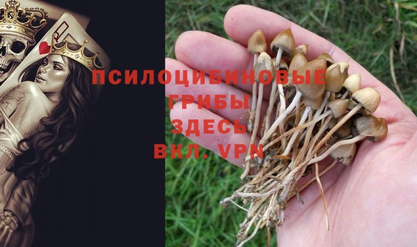 герыч Ладушкин