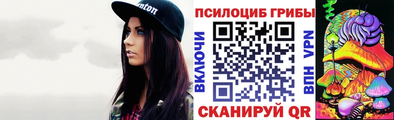 Псилоцибиновые грибы ЛСД  OMG рабочий сайт  Курганинск  наркота 