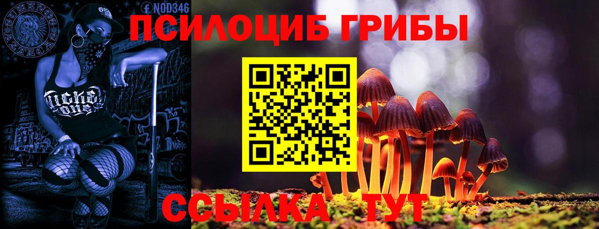 Галлюциногенные грибы MAGIC MUSHROOMS Курганинск