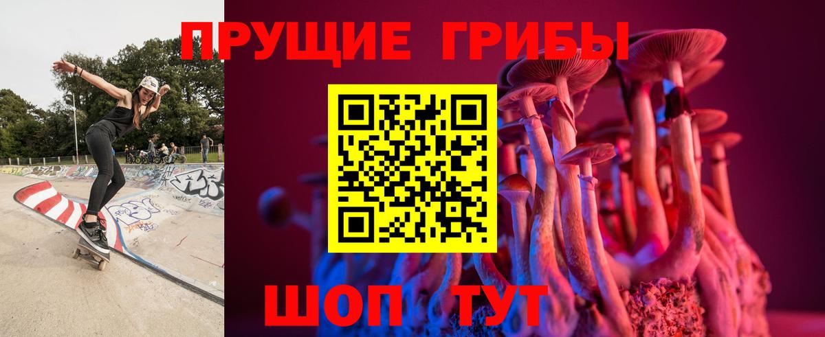 Галлюциногенные грибы мухоморы Курганинск