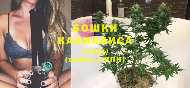 Каннабис SATIVA & INDICA  Курганинск 